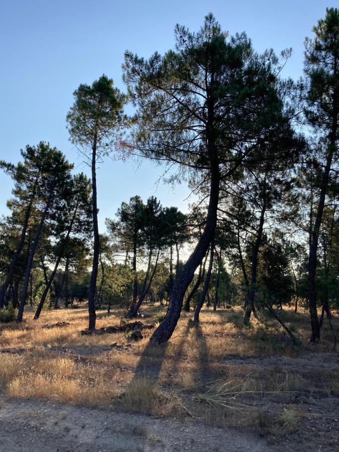 Apartamento Turistico Cerca Aranda De Duero La Ren Lecres Vadocondes Exterior foto